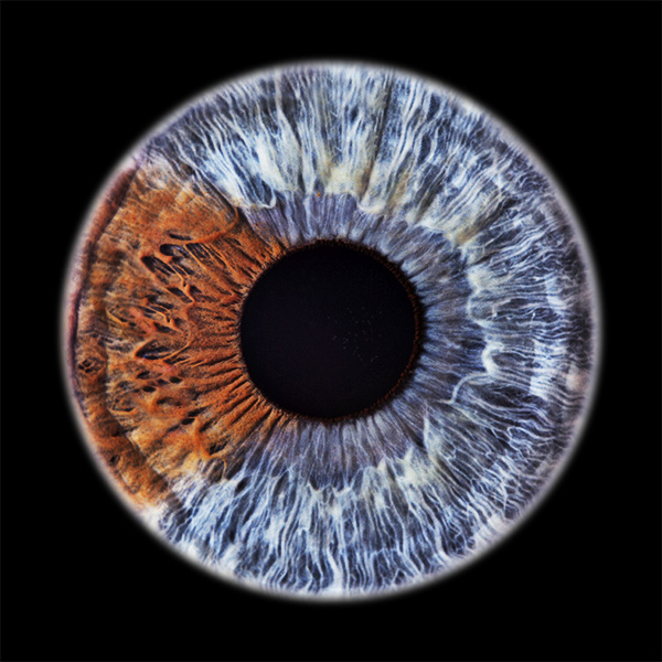 www.eyesight-foto.de